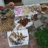csokos_varga_gyorgyi_2011_enteriorok_foto_zsubori_ervin09